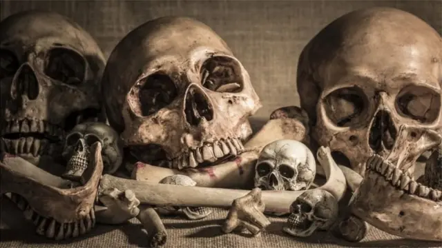 રવાન્ડાના એ નરસંહારની કહાણી જેમાં 100 દિવસમાં આઠ લાખ લોકો માર્યા ગયા