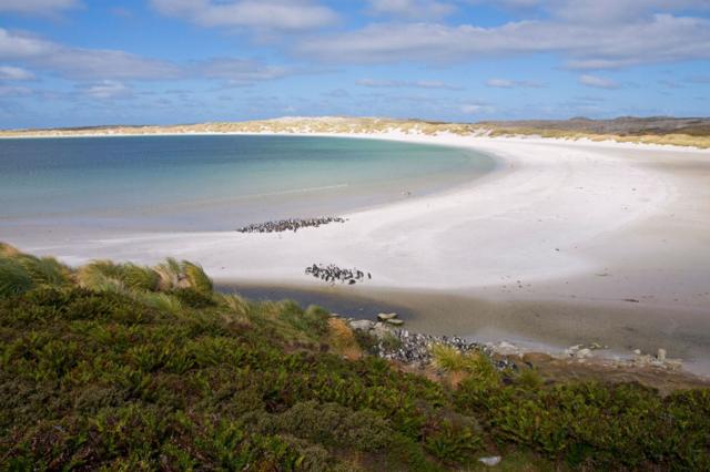Yorke Bay, Malvinas/Falklands.