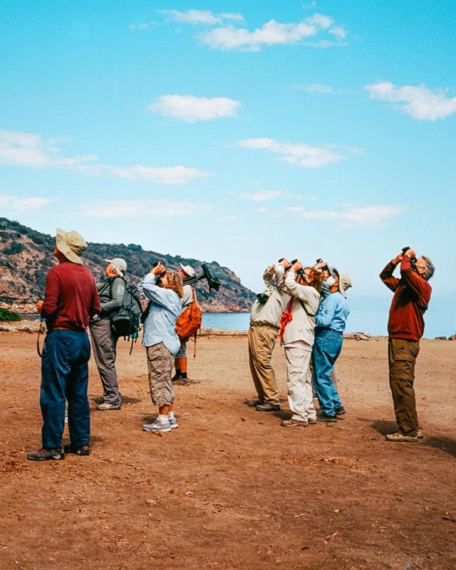 Birdwatchers, Channel Islands National Park, California, US, 2021