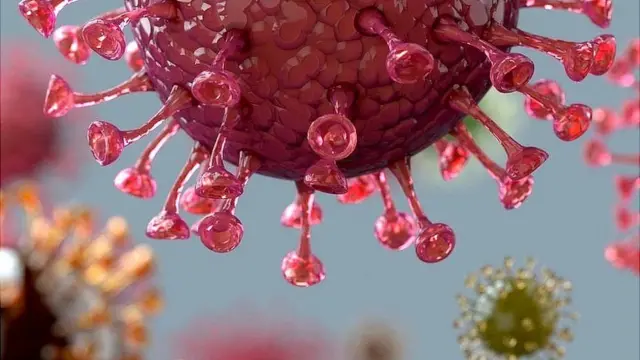 પ્રતીકાત્મક તસવીર