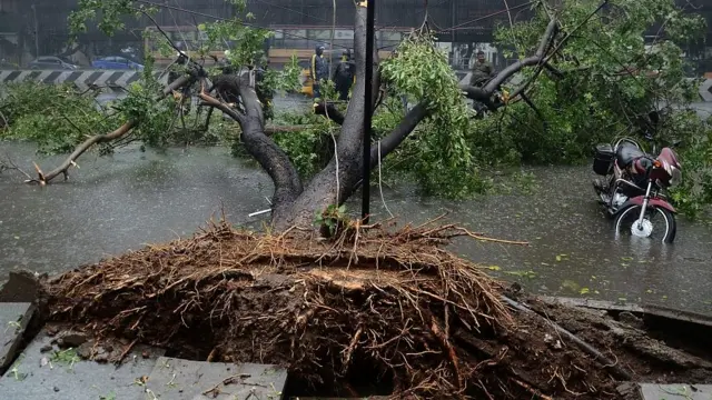 પ્રતિકાત્મક તસવીર