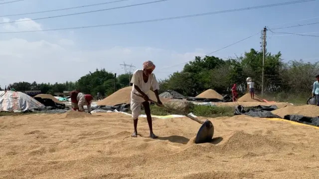 వడ్లను ఆరబెడుతున్న రైతు