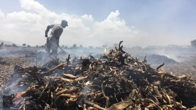 Qonnaan bulaa aramaa boocee gubaa jiru