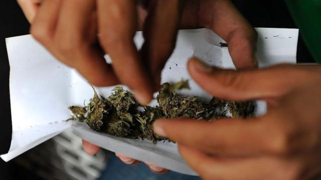 Marihuana en México: 5 preguntas sobre qué cambia ahora que la ley no  prohíbe el consumo lúdico de cannabis - BBC News Mundo