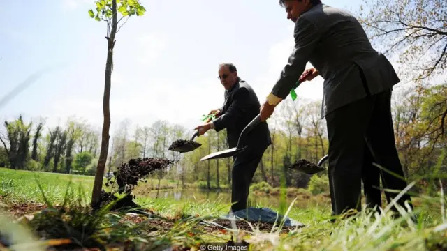 चांद पर बीज