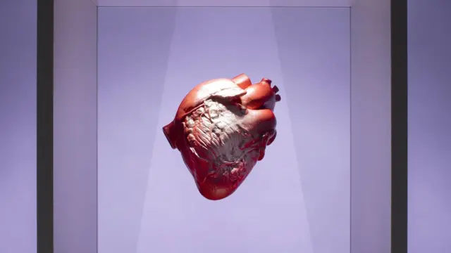 قلب