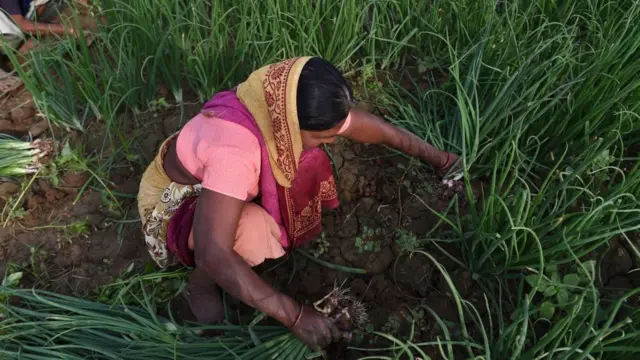 પ્રતીકાત્મક તસવીર