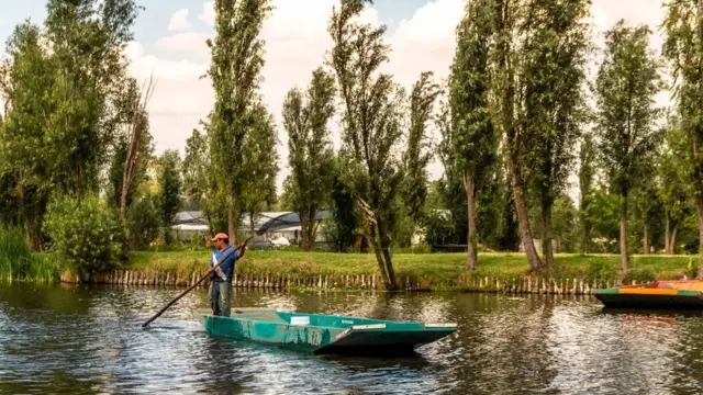 Una persona recorre las chinampas en un pequeño bote a remo.