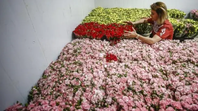 Mulher organiza flores por tipo e cores