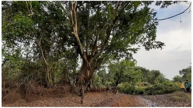 ''ගහ බේරලා පාර හැදුවොත් අමතර වියදම බිලියන 8.5යි. පාර ඉස්සුවොත් වියදම බිලියන 6ක් වගේ.''