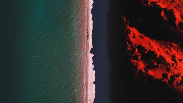 세계적으로 상어의 수가 감소함에 따라, 상어의 생태계 지탱 방법을 이해하는 것이 점점 더 필요해지고 있다