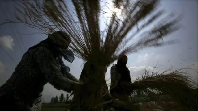 जम्मू काश्मीर, कलम 370,