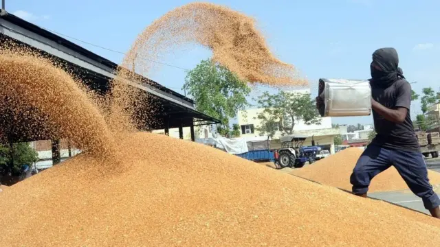 કૃષિ મજૂરની તસવીર