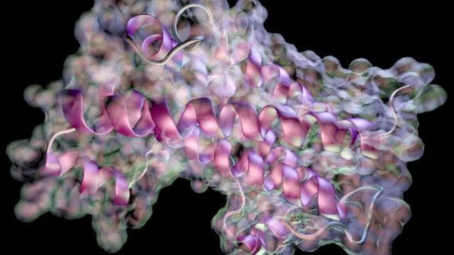 Modelo de la hormona de crecimiento humano