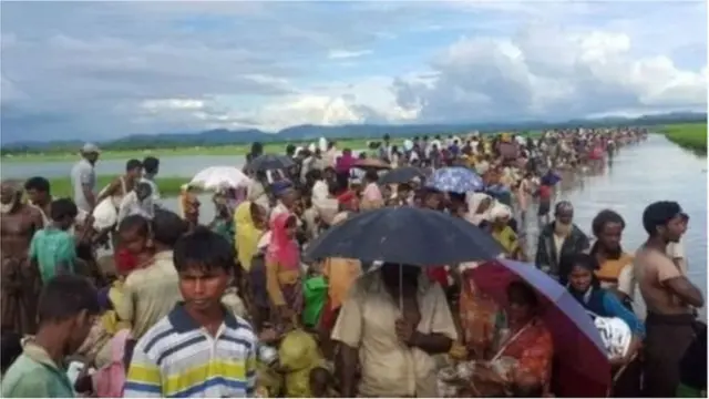 মাদক, পাচার, রোহিঙ্গা, ইয়াবা