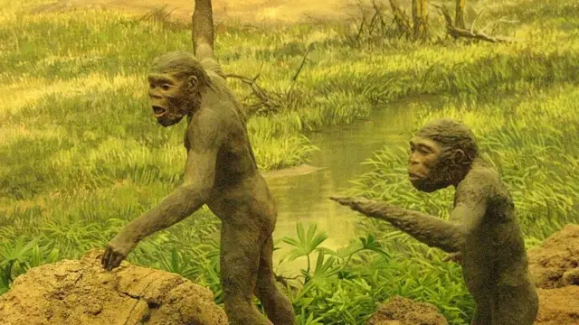 सेक्सः आदिमानव सेक्स कसे करायचे?