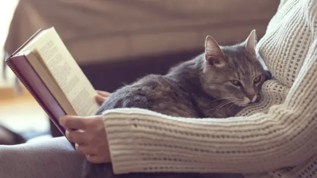 Кошки, конечно, приносят меньше забот, чем дети...