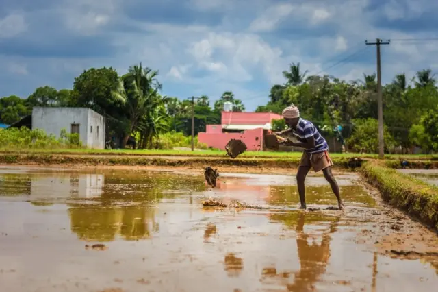 ந. துளசி வா்மா