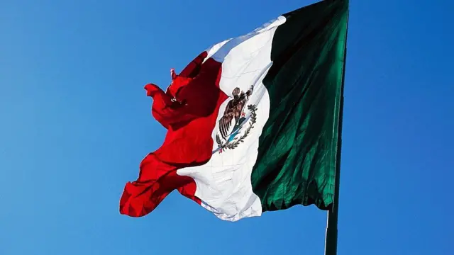 Bandera mexicana ondeando.