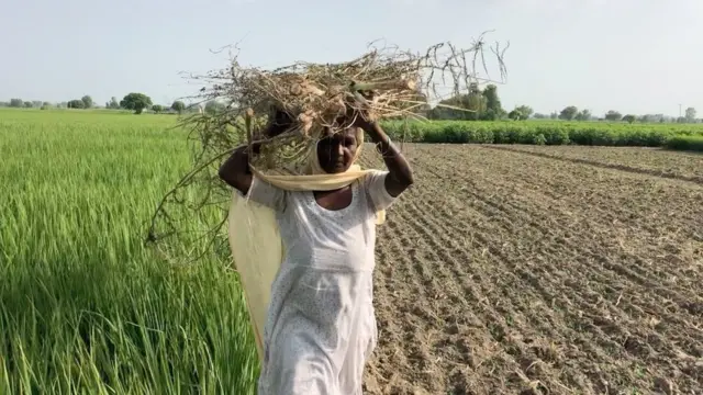 ਮੂਰਤੀ ਕੌਰ