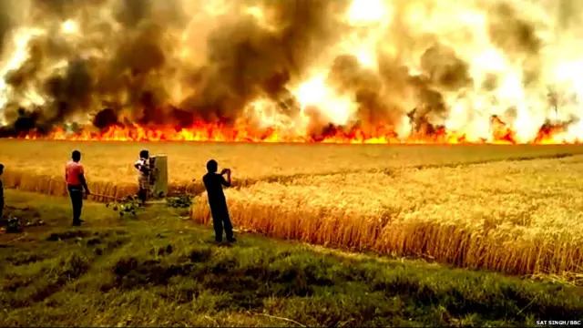 ਬਿਜਲੀ ਦੀਆਂ ਨੰਗੀਆਂ ਤਾਰਾਂ ਚੋਂ ਅੱਗ ਦੇ ਚਿੰਗੜਿਆਂ ਕਰਕੇ ਹਰਿਆਣੇ ਦੇ ਰੋਹਤਕ ਜ਼ਿਲ੍ਹੇ ਵਿੱਚ ਪੱਕੀ ਸੜ ਰਹੀ ਕਣਕ ।