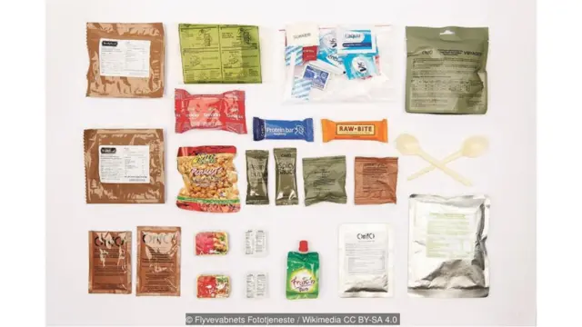 Ransum tentara Denmark