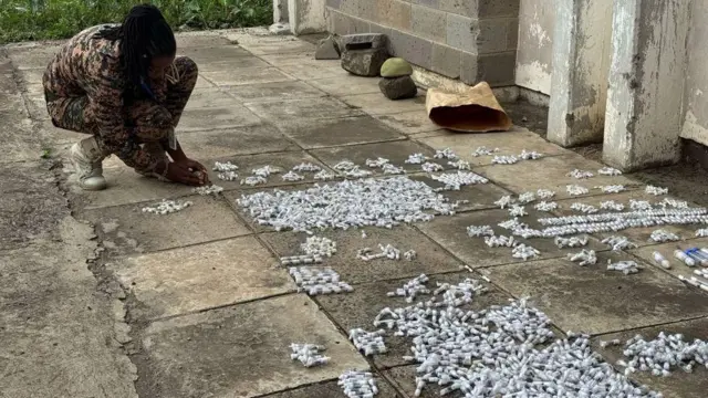 karınca kaçakçıları
