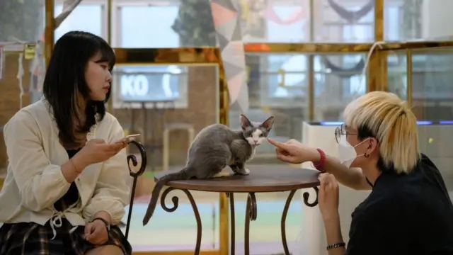 Cafetería en Seúl, marzo 2020