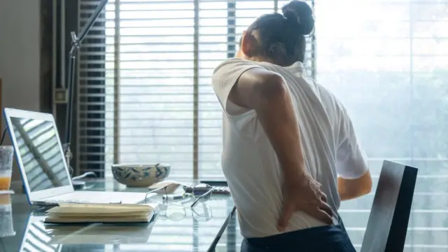 முதுகெலும்பு நாள்