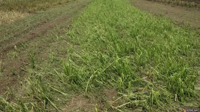 गारपीट