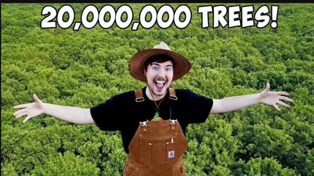 Teamtrees What is MrBeast s tree planting mission all about