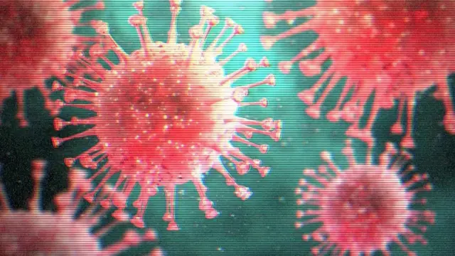 Viral cells