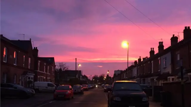 Ljubičasti Saton Koldfild