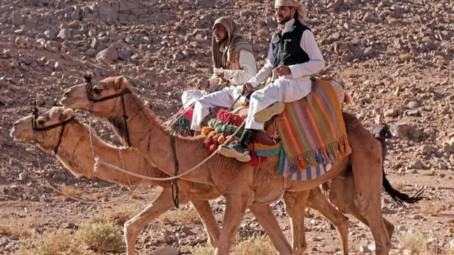 رجلان من بدو سيناء يركبان جملين