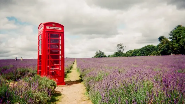 Cabina telefónica en campo de Lavandas