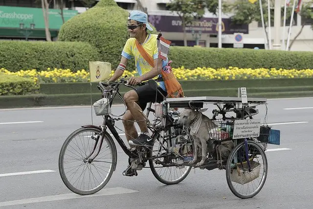 นักปั่นรายนี้ก็นำน้องหมามาร่วมปั่นด้วย