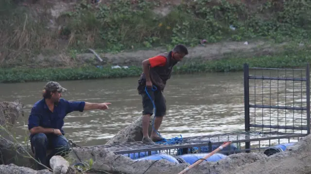 crocodile, rescue, palu
