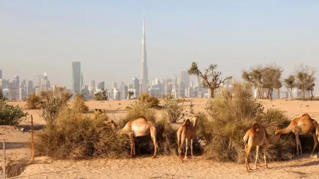 दुबई, वाळवंट