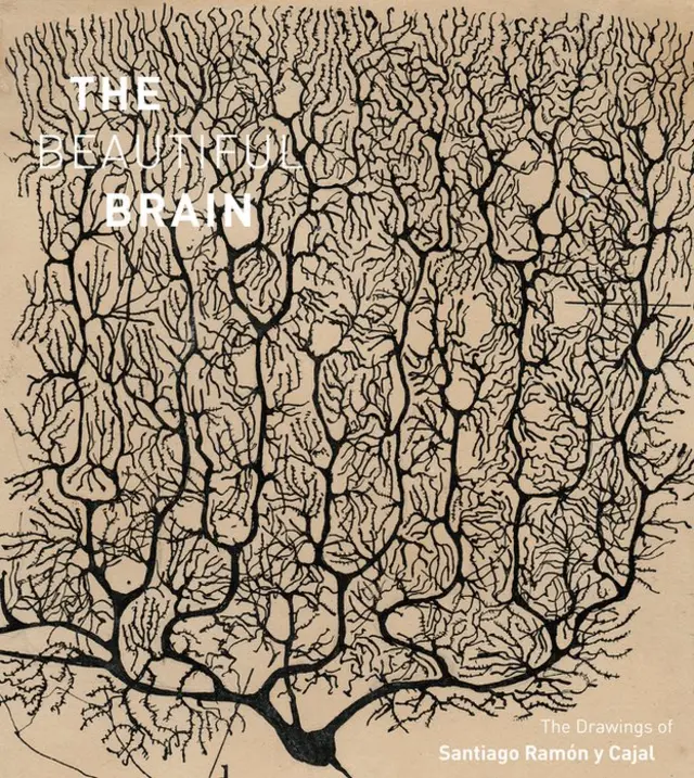 Carátula del libro "The Beautiful Brain" de la editorial Abrams. (Cortesía del Instituto Cajal del Consejo Superior de Investigaciones Científicas, Madrid © 2017)