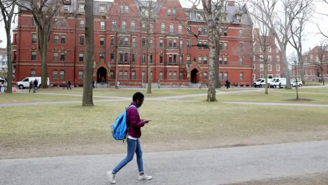 UK open 'graduate route'