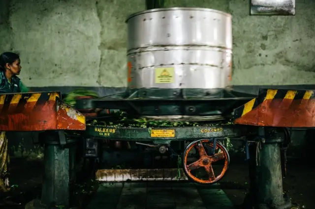 श्री लंका, चाय बगीचे, श्री लंका की चाय