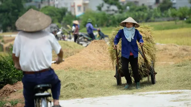Việt Nam, đất đai