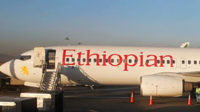 Avion Boing 737-800 MAH na servisu