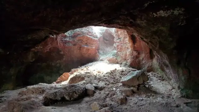 تاریخی نوادرات