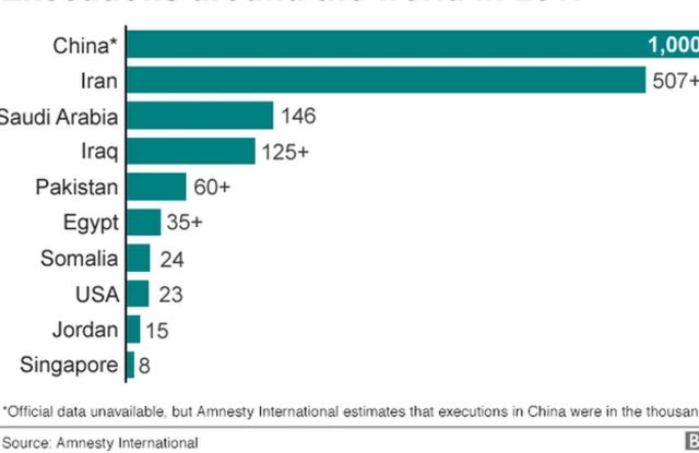 Chart showing where executions were carried out in 2017