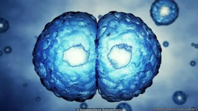 પ્રતીકાત્મક તસવીર