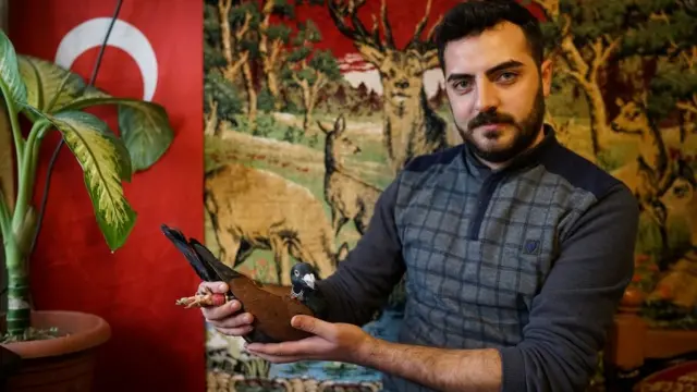 कबूतर पालने के शौकीन इस्लाम उज़्बेक