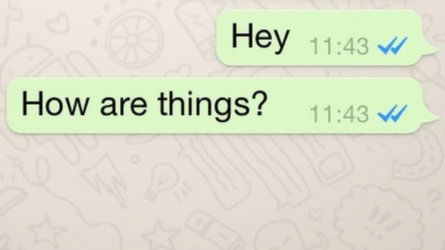 Blue ticks on WhatsApp: What they really mean