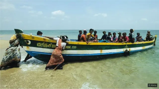 سمندری گھاس