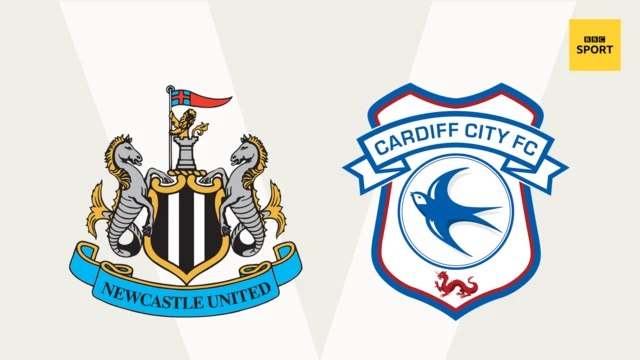 Niwukaastil v Kaardif